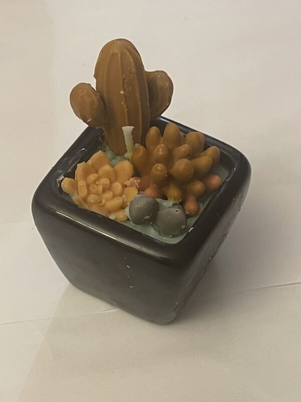 Bougies artisanales – Édition limitée Saint-Valentin